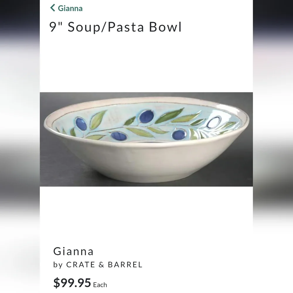 Crate & Barrel Gianna Pasta/Soup Bowl  Retired Pattern Earthenware Rare Italy 9